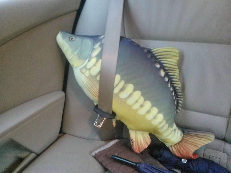 de prin lume  :) - centura.jpg